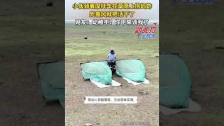 小夥騎著摩托車在草原上撈螞蚱 兜著風就把活幹了！ #shorts#news#information