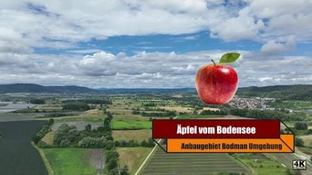 2024 07 22 Äpfel vom Bodensee, Anbau-Region Bodman und Umgebung