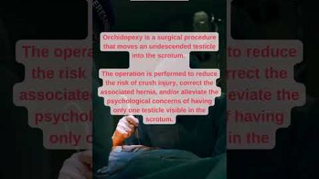 Orchiopexy Surgery: Ensuring Better Health and Well-being.