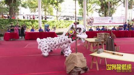 腾阳龙獅体育会A队 Teng Yang Dragon &amp; Lion Dance Association Team A