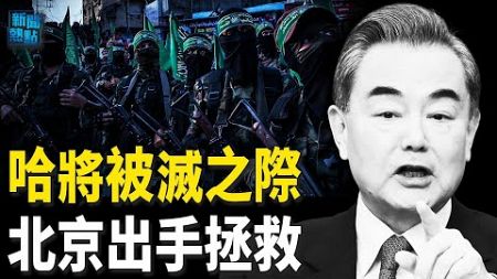 中共促哈法和談 以總理要見拜登和川普；匈牙利被取消主持歐盟會議的權利 主播：張恩【希望之聲粵語頻道-新聞熱點】