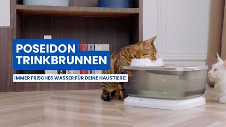 Poseidon Trinkbrunnen - Immer frisches Wasser für deine Haustiere!