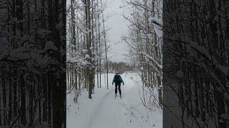 Лыжные гонки Тренировка лыжников Новокузнецкого района 2024 Часть 65 #sports #snowboarding #спорт