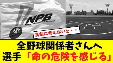 全野球関係者さんへ、選手より大事なお知らせ！【なんJなんG反応】【2ch5ch】