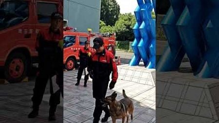 信頼関係抜群の埼玉県警察警察犬🐕‍🦺🐕‍🦺U^ｪ^U🐕