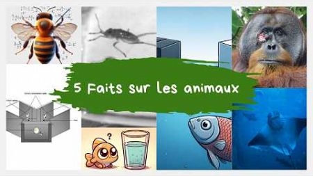 5 faits scientifiques sur les animaux #vulgarisation #science #biologie #physique #psychologie