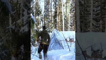 Solo Girl Surviving in Snow Forest Winter Adventure #survival #adventure #bushcraft #winter #snow