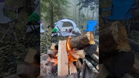 Camping 🏕️ #camping #campfire #babymother