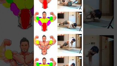 Full Body workout (AT HOME) 💪 #workout #shorts #exercise #fullbodyworkout #homeworkout #fitness