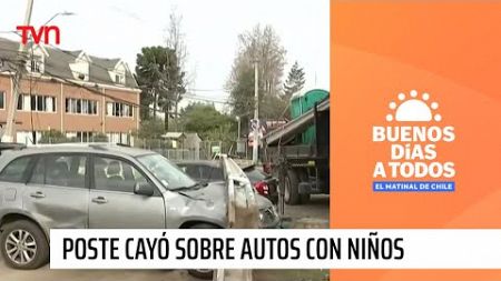 Y nadie hizo algo: Poste cayó sobre autos con niños en el interior en San Bernardo