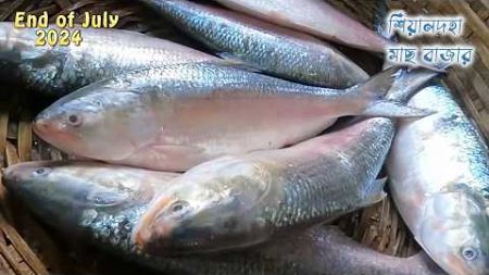 শিয়ালদহে মাছের দাম জুলাই 2024 || Sealdah fish market || Kolkata fish market | fish price in Kolkata