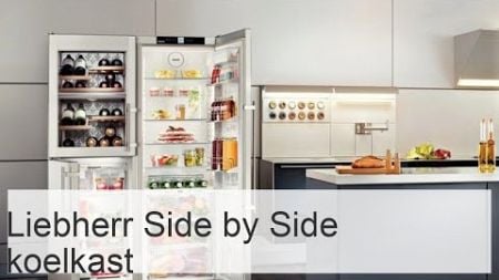 Liebherr Side by Side koelkast: dubbeldeurs modellen, beoordelingen