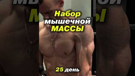 Набор массы! Набор мышечной массы! Набор массы питание! Набор массы для эктоморфа! Как набрать массу