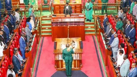 LIVE: THE FINANCE BILL DEBATE ,NATIONAL ASSEMBLY PROCEEDINGS