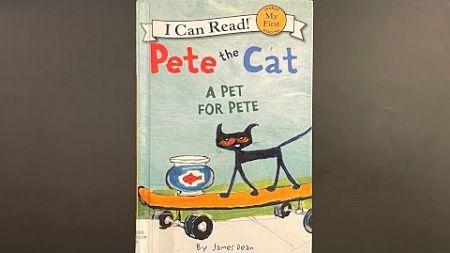 皮特猫 - 养宠物