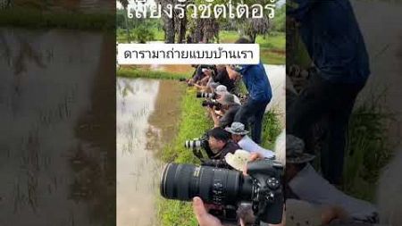 #ฟีด #ตลก #funny #ชัตเตอร์ #funnyvideo #ดาราดัง #ดาราสาว