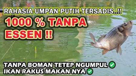 TANPA ESSEN TANPA BOMAN !! UMPAN IKAN MAS AMIS PUTIH TERJITU UNTUK IKAN RAME LOMBA &amp; HARIAN ❗❗