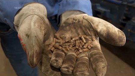 Wood pellets boom in the U.S. raises health and environmental concerns