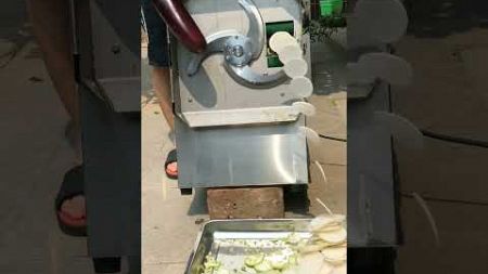 The fastest vegetable cutting machine saves time and effort #craft #machine #food