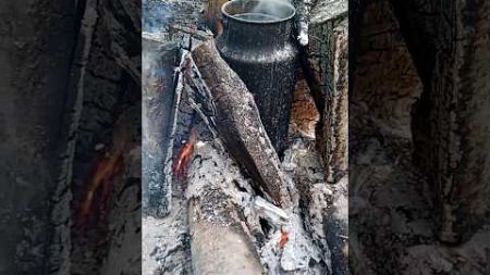 УХА Таежная Печька #печка #печь #дмитрийяков #выживание #survival #camping #bushcraft #outdoors #лес