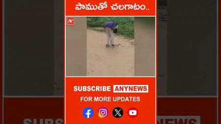 మద్యం మత్తులో పాముతో చలగాటం.. || Any News #snakebite #viralvideo #shorts