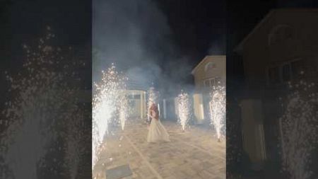 Яркая свадьба #невеста #жених #свадьба #праздник #белгород #video #like #ярко #ведущий #огни #лайк