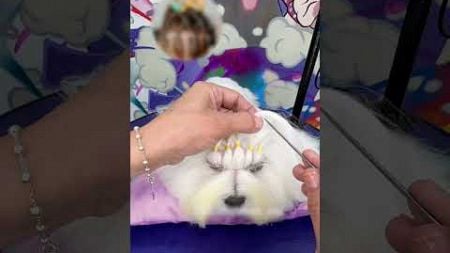 Trendy Puppy Gets Princess Makeover!