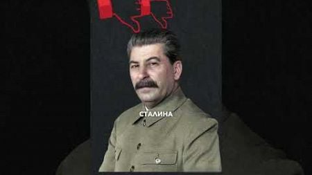 За что любят и ненавидят Сталина? #сталин #факты #политика #интересныефакты