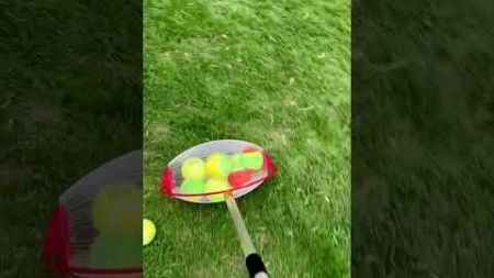 🎾🏸The Fastest Tennis Ball Collector🏸 #games #golfwithyourfriends #funnygolf #gaming #golfmates #