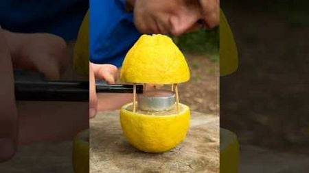 🍋 LIFEHACK for SURVIVAL against MOSQUITOES 🦟 #camping #survival #bushcraft #outdoors #lifehack