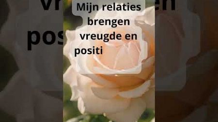 Affirmatie van de dag: Relaties #13: Positiviteit