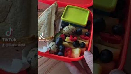 #lunchbox #essen #food #foodie #recipe #austria #österreich #blancheaut #fy #fypシ゚viral #fyp #fypp