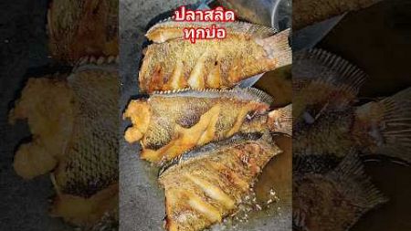 ปลาสลิดทอดเกลือเหลืองกรอบๆ #อาหารพื้นบ้าน #อาหารไทย #เมนูง่ายๆ