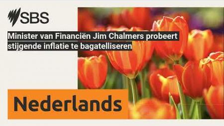 Minister van Financiën Jim Chalmers probeert stijgende inflatie te bagatelliseren | SBS Dutch -...