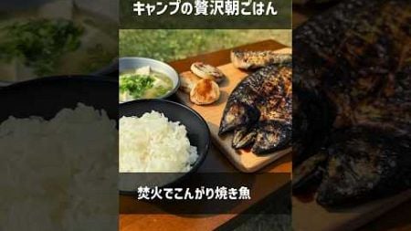 キャンプの贅沢朝ごはん！焚火でこんがり焼き魚定食 #Shorts #キャンプ飯 #こっこー #野営同好会