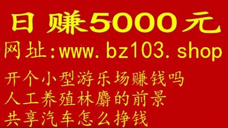 csgo一天能挣多少钱,想学个手艺活30多岁养家糊口,手游加盟是怎么赚钱的,赚钱项目月赚七万第53季