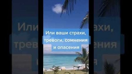 ❗Закон Материализации❗Где твое внимание в течении дня❓На какое зеркало светишь❓@amazing__julia