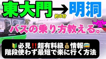 【韓国旅行】保存版📚東大門で買い物した後に簡単に明洞のホテルに帰る方法🚌韓国のバスの乗り方を実況解説‼️東大門から明洞　行き方　説明　韓国vlog 韓国　ソウル旅行　ひとり旅　初心者