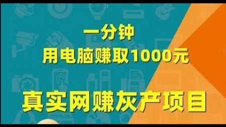 2024灰产项目 | 网络赚钱 | 网赚 毫无风险，教你五分钟就可以赚到3000。灰产跑分跑货真实演示（真实测试网站）8月5日