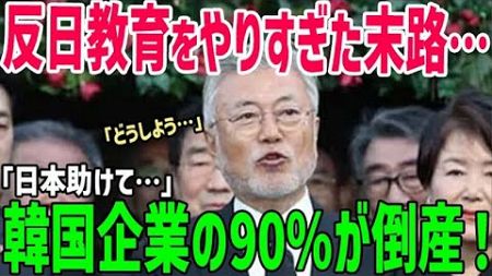 【総集編】「ヤバい…もうおしまいだ！」反日教育に力を入れすぎた韓国がたどり着いた末路とは…10年間で90％の韓国企業が倒産！？韓国経済崩壊の危機！【海外の反応】