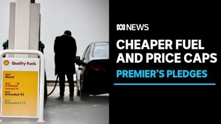 Qld fuel price rises sees state-owned petrol station proposal | ABC News