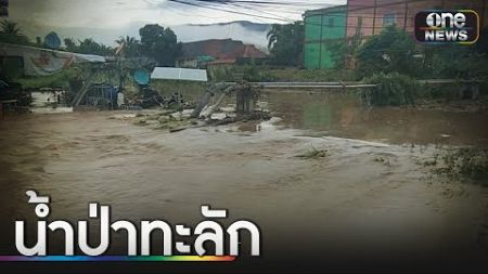 &quot;ภูเรือ&quot; ฝนกระหน่ำ น้ำป่าทะลักท่วมถนนรถติดยาว | ข่าวเช้าช่องวัน | สำนักข่าววันนิวส์