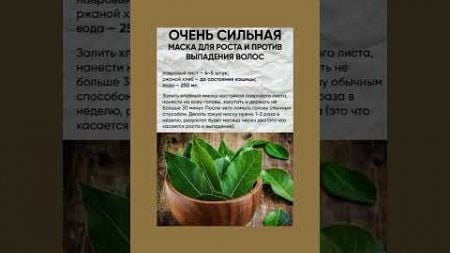 Маска для роста и против выпадения волос #выпадениеволос #здоровье #полезнознать #рецепт #маска