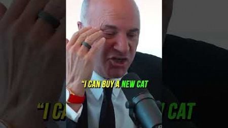 Humbling shark tank story #money #kevinoleary #sharktank #business #sharktankus #cat #entrepreneur