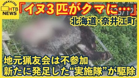「３頭がクマに…」クマが犬を襲撃　札幌のハンターが駆除　地元猟友会不在の対応は…　奈井江町