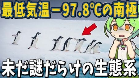 最低気温－97.8℃の環境で生存する生態系！？未だに謎が多い南極大陸の生物１０選！【ずんだもん解説】