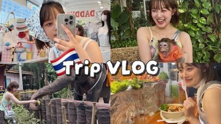 激安旅！タイのバンコクで4泊5日満喫してきた🇹🇭🐘【旅行VLOG】【爆食】