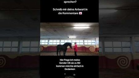 TIERGESPRÄCHE &amp; ONLINE KURSE🐴 WWW.JOSEFINKEJLA.DE #pferd #horse #tierkommunikation #haustiere #tiere