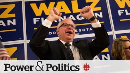 Tim Walz a ‘brilliant decision’ for Harris’s campaign: Democratic strategist | Power &amp; Politics