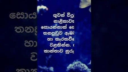 පිරිමි ඇයි ඒකට එච්චරටම ආස 🥰😍. #psychology #education #shorts